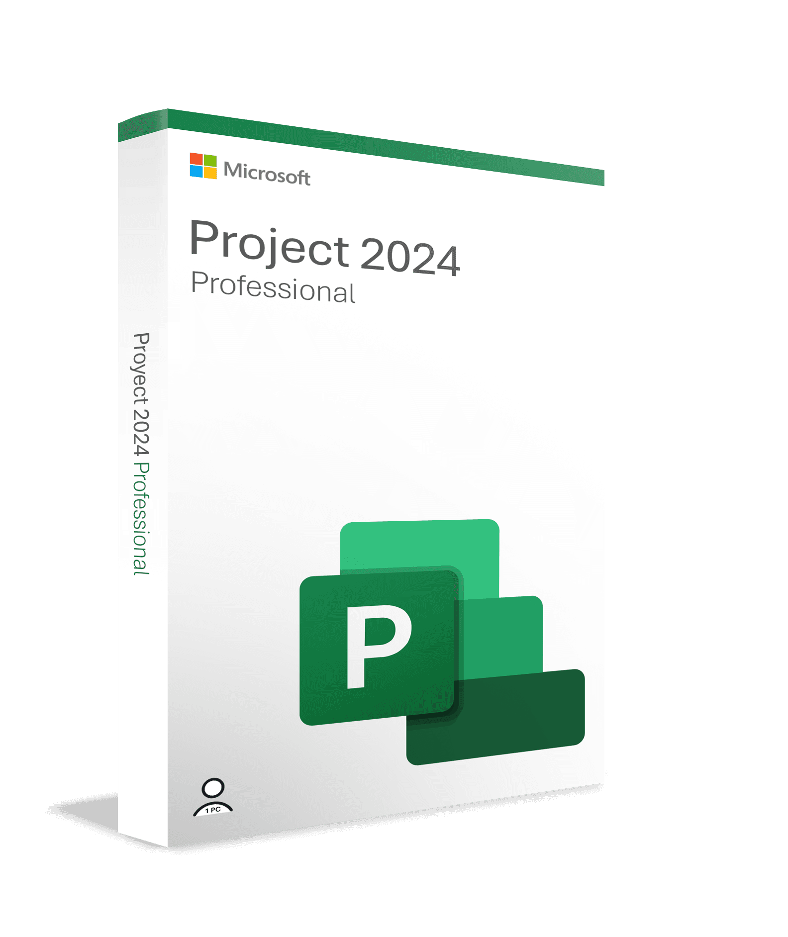 Microsoft Project 2024 Professional