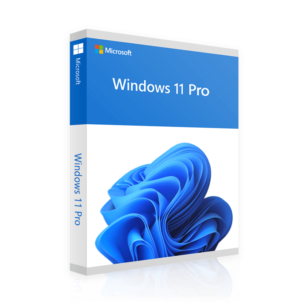 Windows 11 Professional | 2 x 1