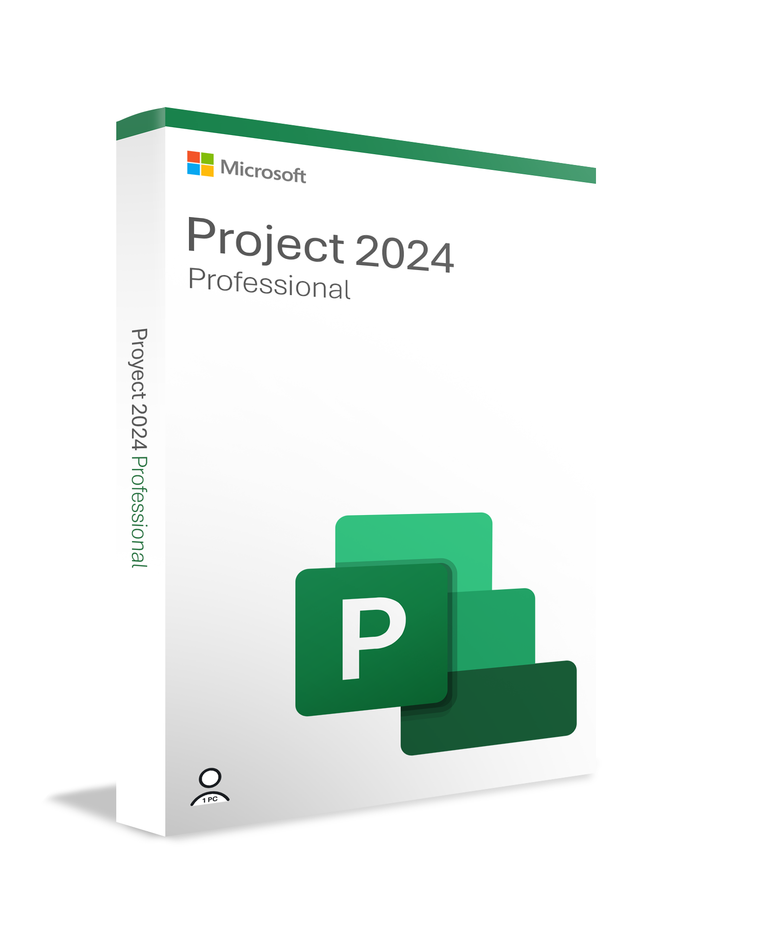 Microsoft Project 2024 Professional