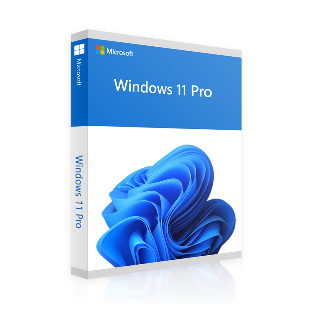 Windows 11 Professional | 2 x 1